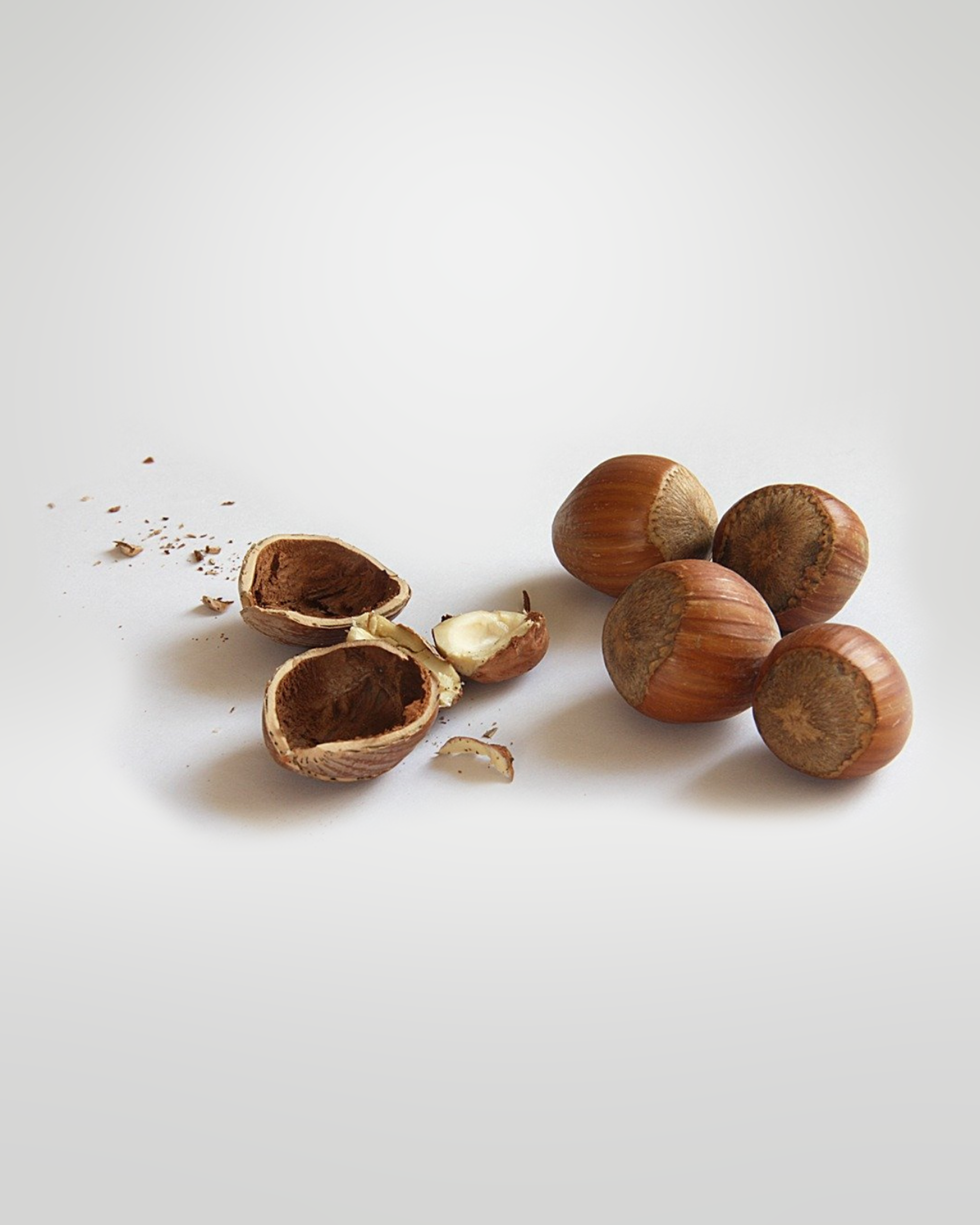 Nocciola in guscio